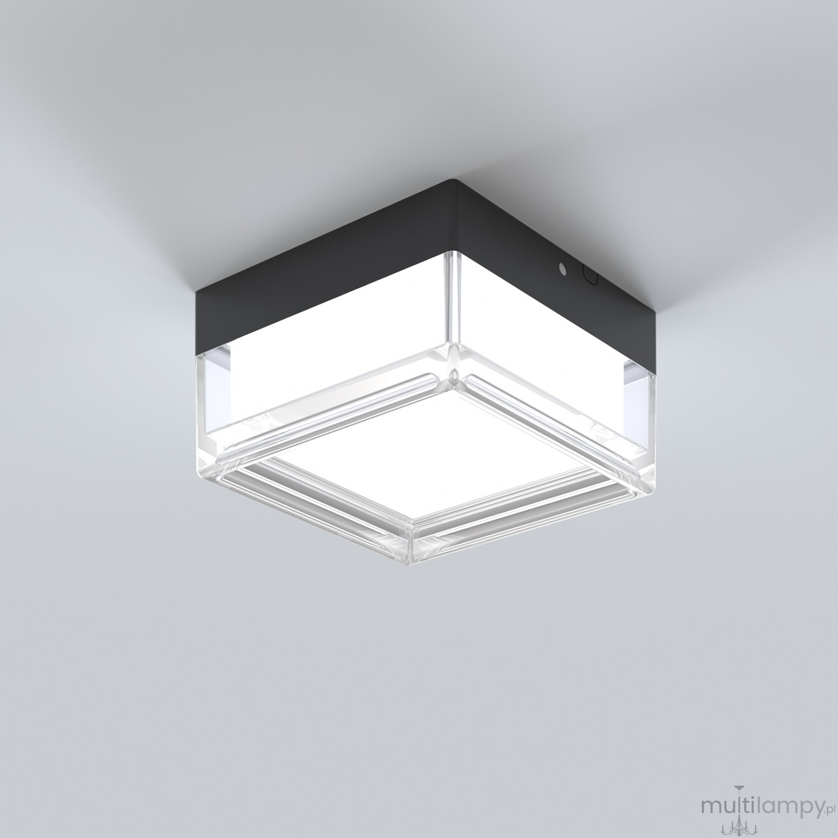 Nefis plafon LED 9W CCT IP65 czarny PLF-53628-BK