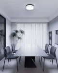 Rilta D30 plafon LED 24W CCT IP65 czarny PLF-73527-M-BK