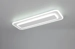 Riva lampa sufitowa z pilotem 2xLED 20W CCT biały 636716131