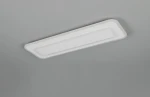 Riva lampa sufitowa z pilotem 2xLED 20W CCT biały 636716131
