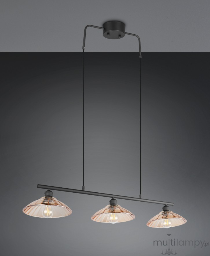 Eluna lampa wisząca 3xE27 czarna R36523032