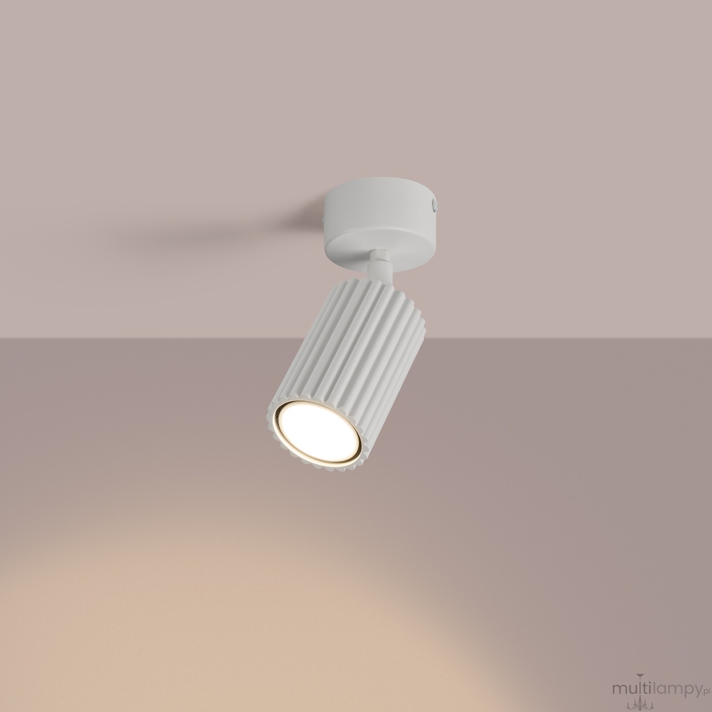 Karbon lampa sufitowa spot GU10 biała SL.1911