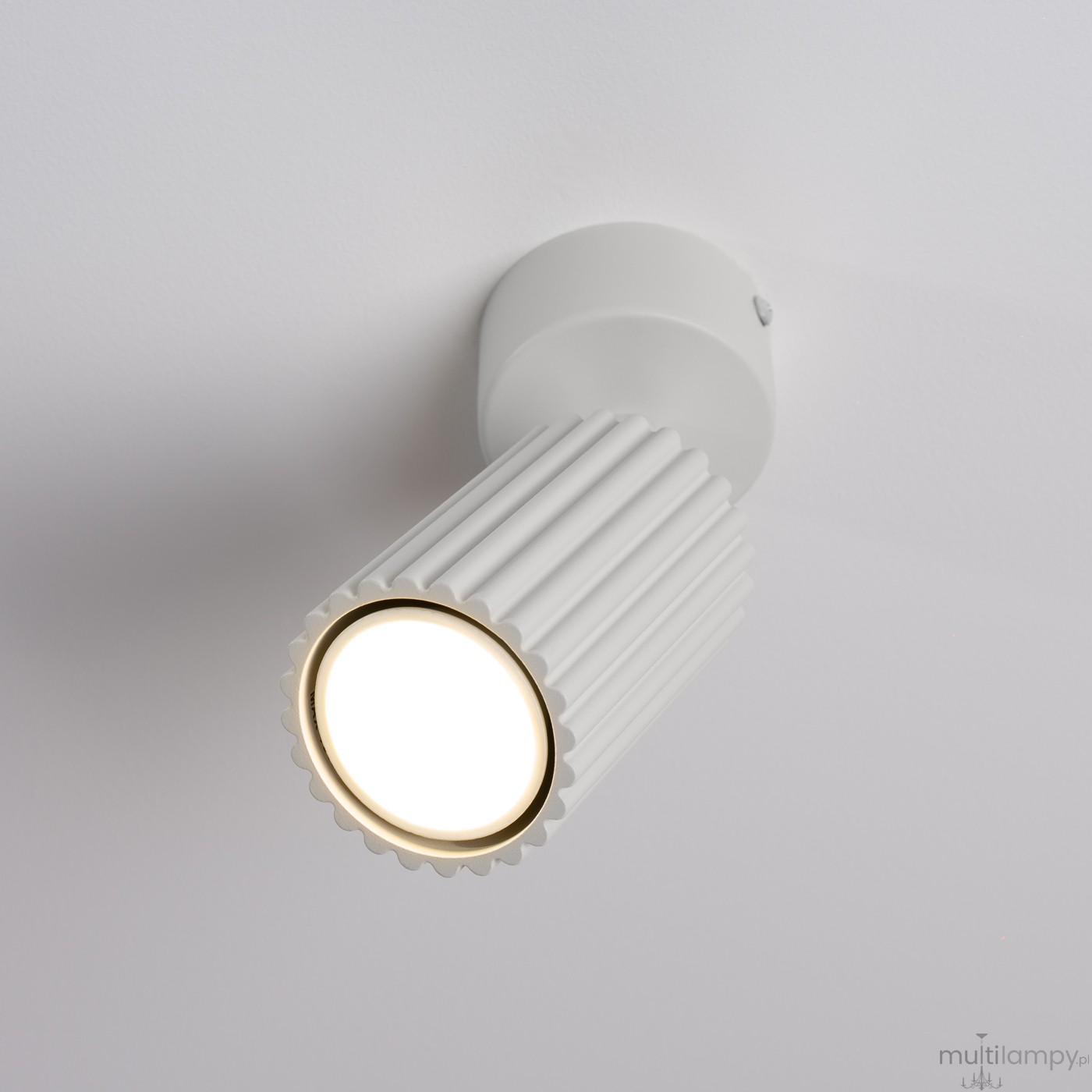 Karbon lampa sufitowa spot GU10 biała SL.1911