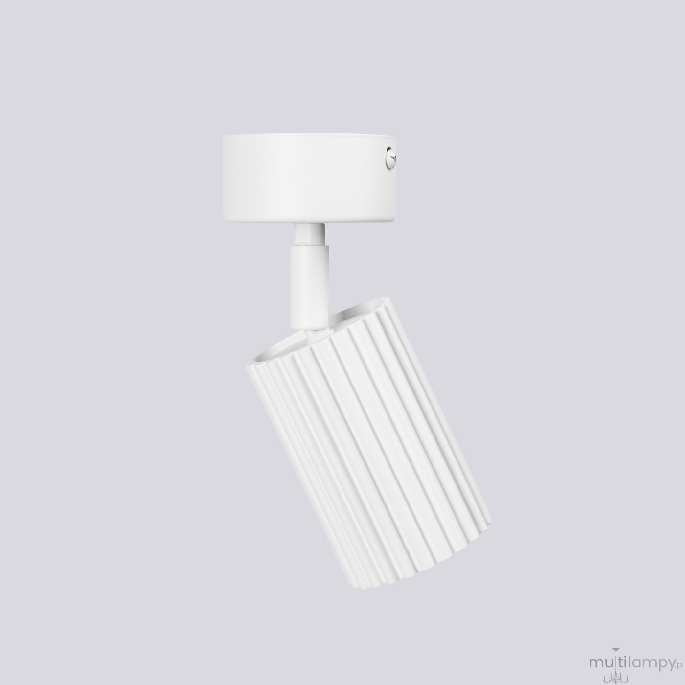 Karbon lampa sufitowa spot GU10 biała SL.1911