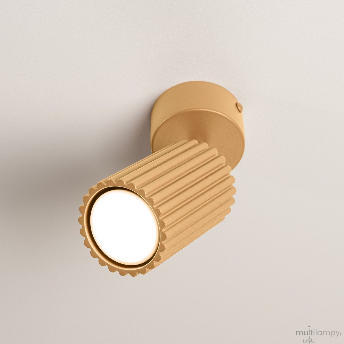 Karbon lampa sufitowa spot GU10 złota SL.1912