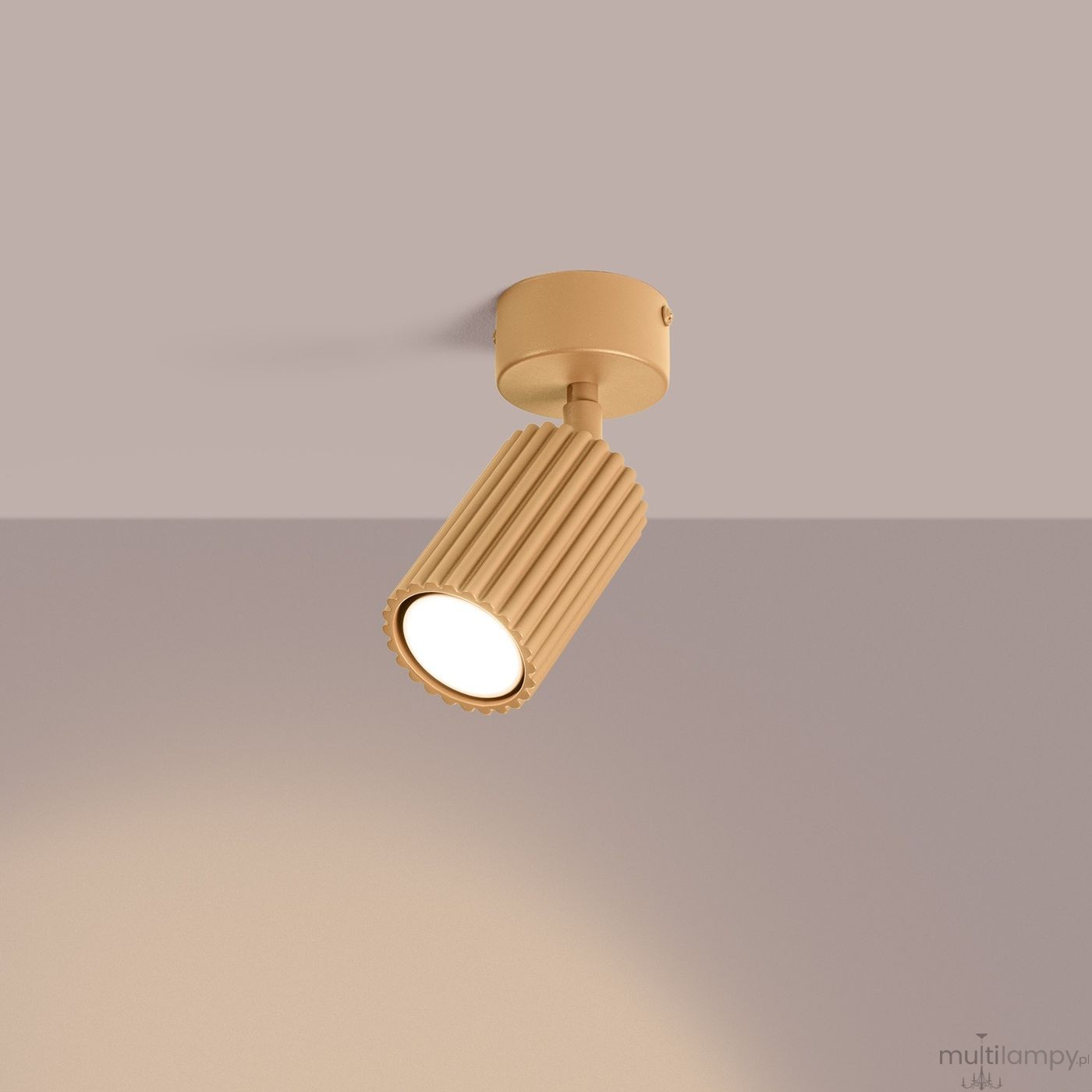 Karbon lampa sufitowa spot GU10 złota SL.1912
