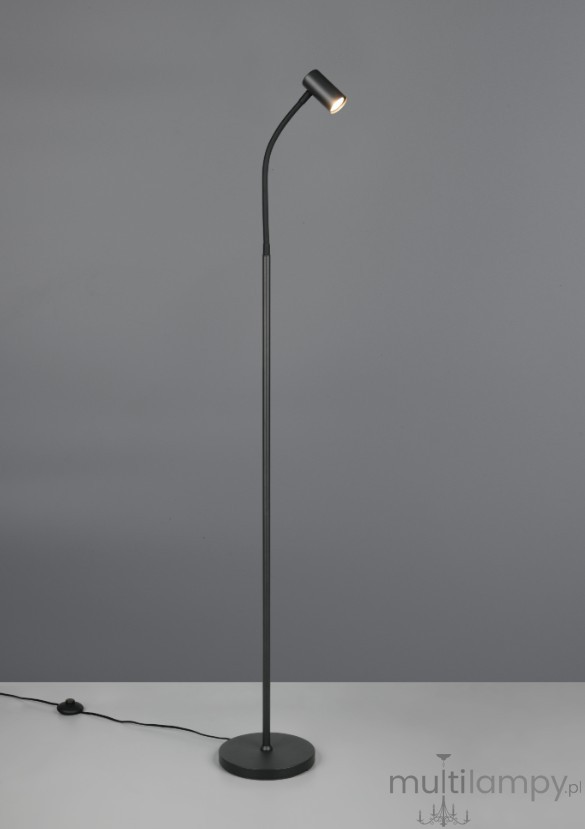 Taryn lampa podłogowa GU10 czarna R46851032