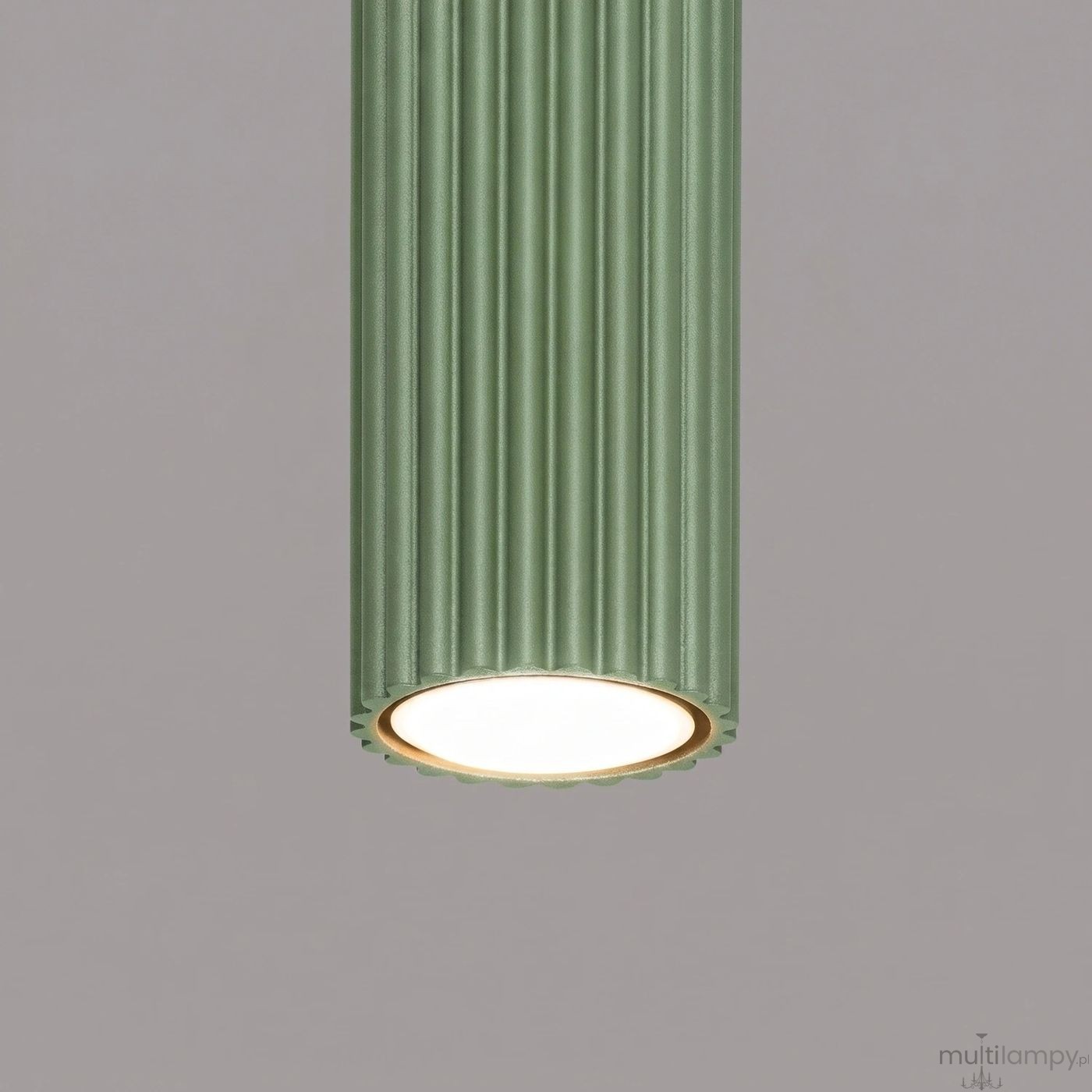 Karbon 10 lampa sufitowa 1xGU10 szałwia SL.2328