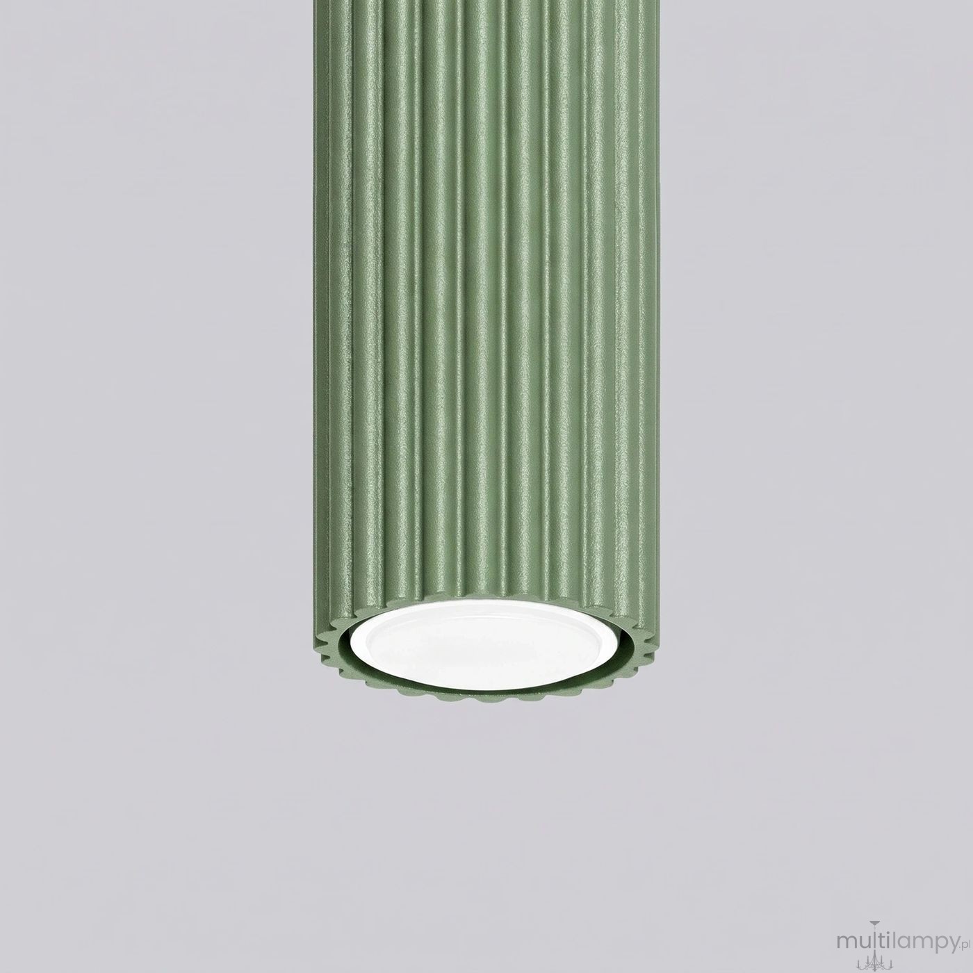 Karbon 10 lampa sufitowa 1xGU10 szałwia SL.2328