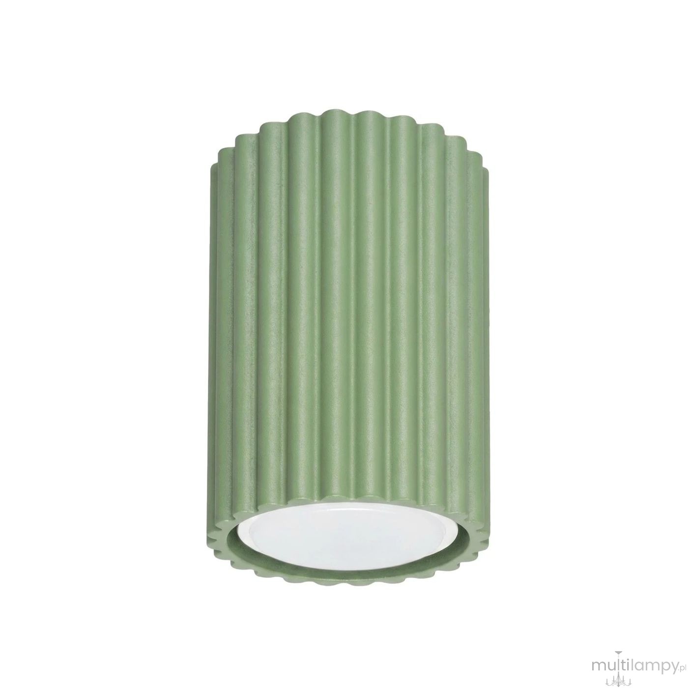 Karbon 10 lampa sufitowa 1xGU10 szałwia SL.2328