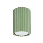 Karbon 10 lampa sufitowa 1xGU10 szałwia SL.2328