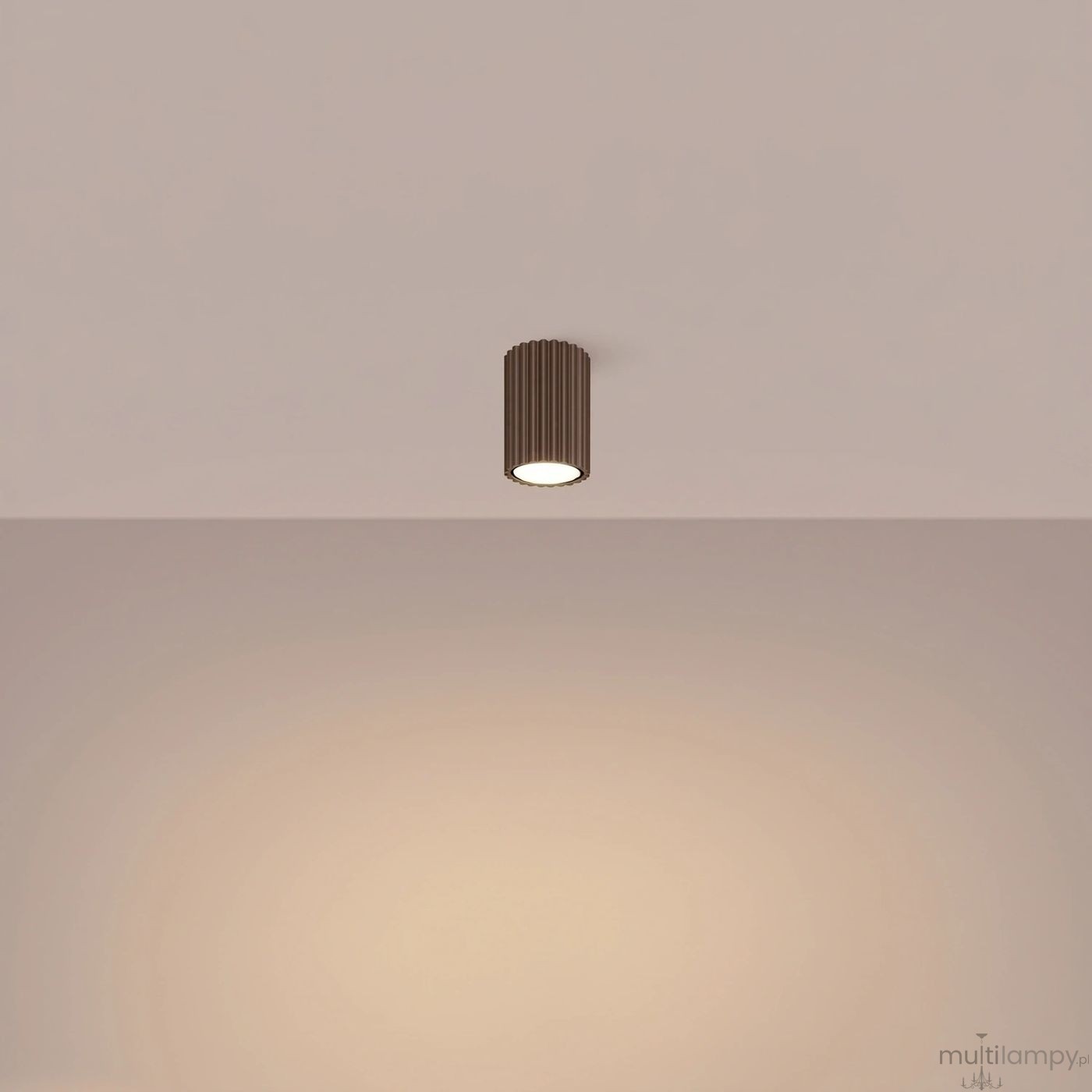Karbon 10 lampa sufitowa 1xGU10 brązowa SL.2331