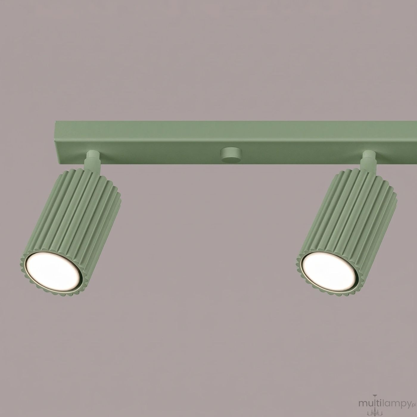 Karbon L lampa sufitowa spot 4xGU10 szałwia SL.2354