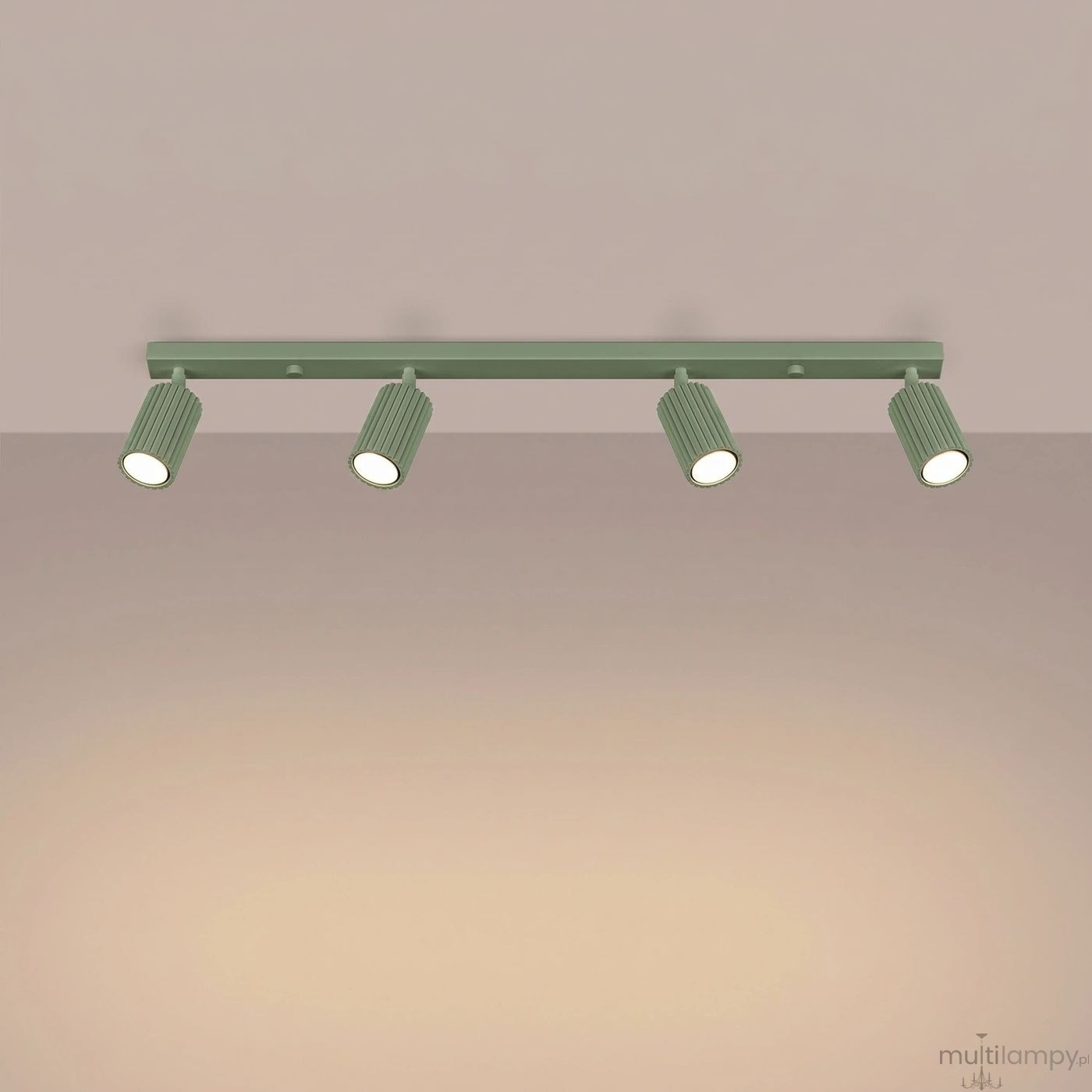 Karbon L lampa sufitowa spot 4xGU10 szałwia SL.2354