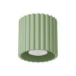 Aura lampa sufitowa GU10 szałwia SL.2408
