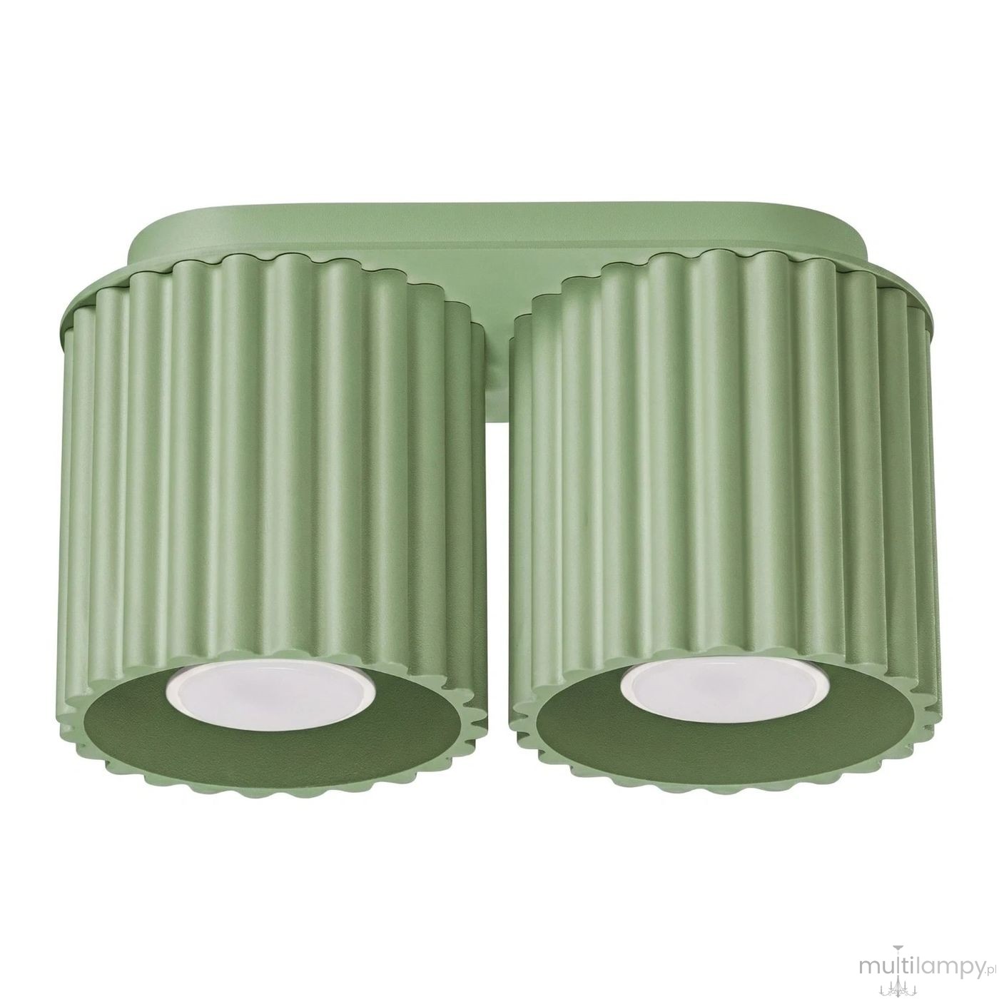 Aura lampa sufitowa 2xGU10 szałwia SL.2409