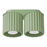 Aura lampa sufitowa 2xGU10 szałwia SL.2409