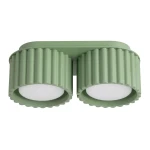 Aura lampa sufitowa 2xGX53 szałwia SL.2412