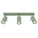 Ring lampa sufitowa spot 3xGU10 szałwia SL.2179