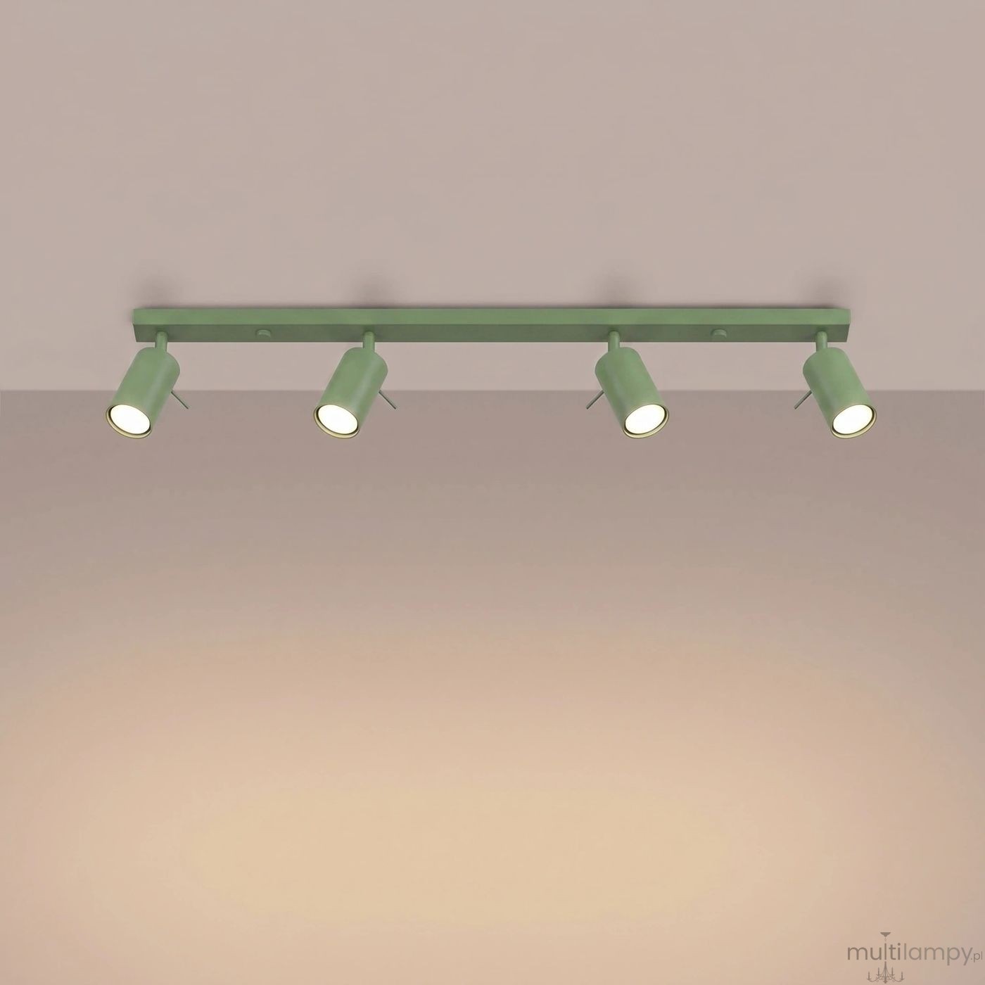 Ring lampa sufitowa spot 4xGU10 szałwia SL.2181