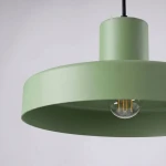 Bilo lampa wisząca E27 szałwiowa SL.2055