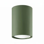 Lagos H10 lampa sufitowa GU10 zielona oliwka SL.2071