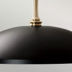 Delarosa lampa wisząca 1xE27 czarny szampański brąz KL-DELAROSA-P-BK