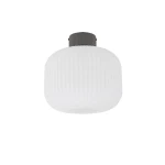 Aurora lampa sufitowa 1xE27 szara 11971