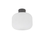 Aurora lampa sufitowa 1xE27 szara 11971