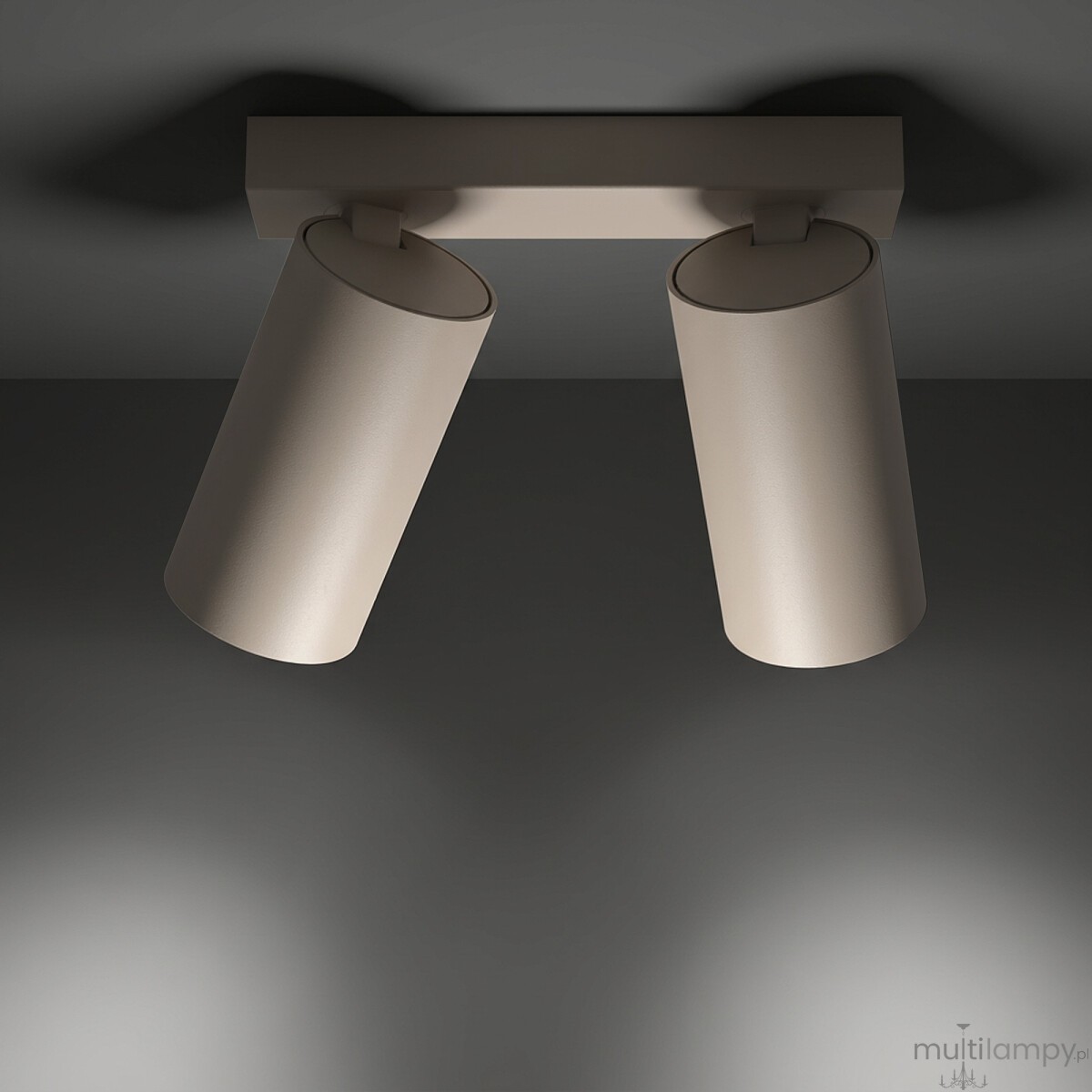 Mono lampa sufitowa (spot) 2xGU10 beżowa 12536