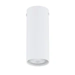 Tecno S lampa sufitowa 1xGU10 biała 1317/1S