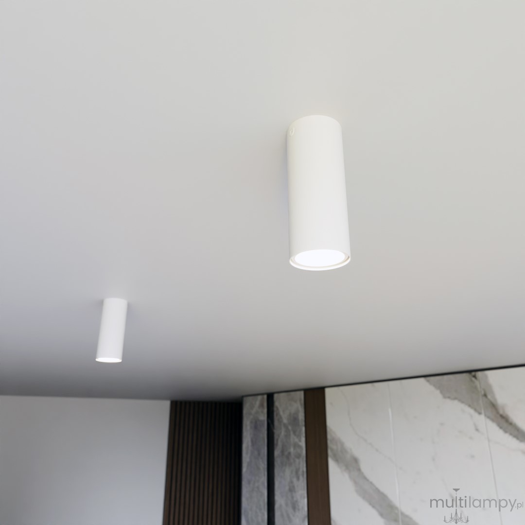 Tecno S lampa sufitowa 1xGU10 biała 1317/1S