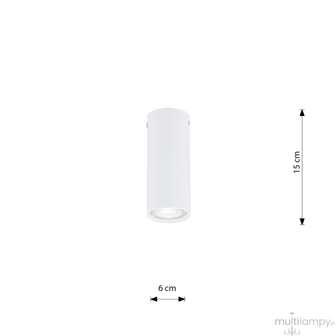 Tecno S lampa sufitowa 1xGU10 biała 1317/1S