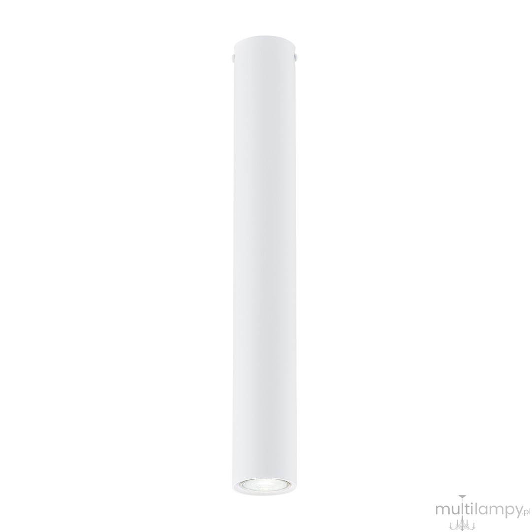 Tecno L lampa sufitowa 1xGU10 biała 1317/1L