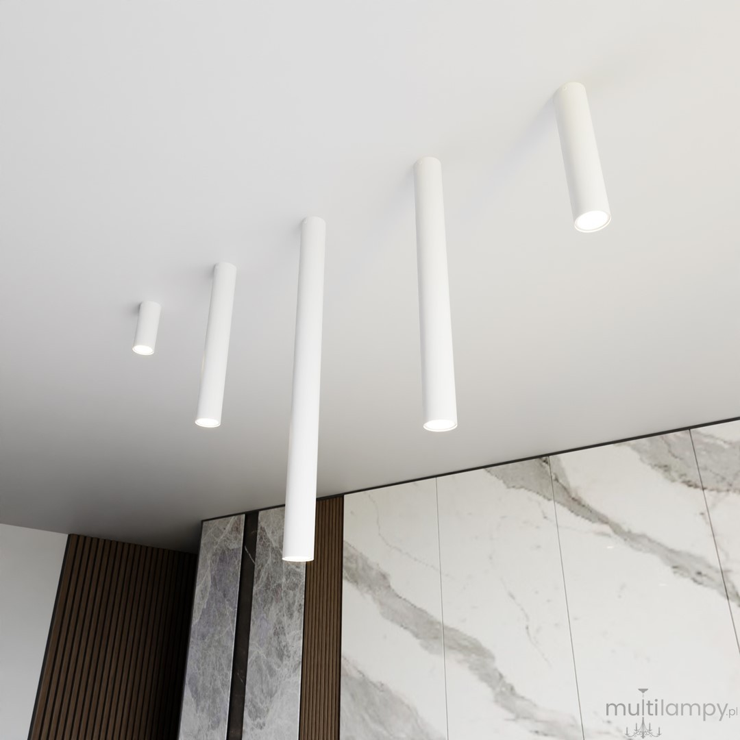 Tecno L lampa sufitowa 1xGU10 biała 1317/1L