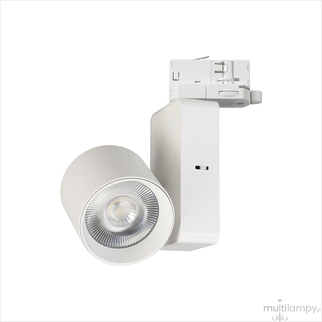 Track Ojo LED 25W 2700/4000K spot do szyny 3-fazowej biały ML1106