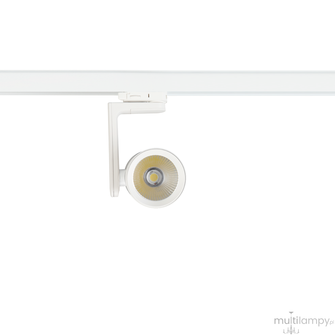 Track Timor LED 30W 2700/4000K spot do szyny 3-fazowej biały ML1116
