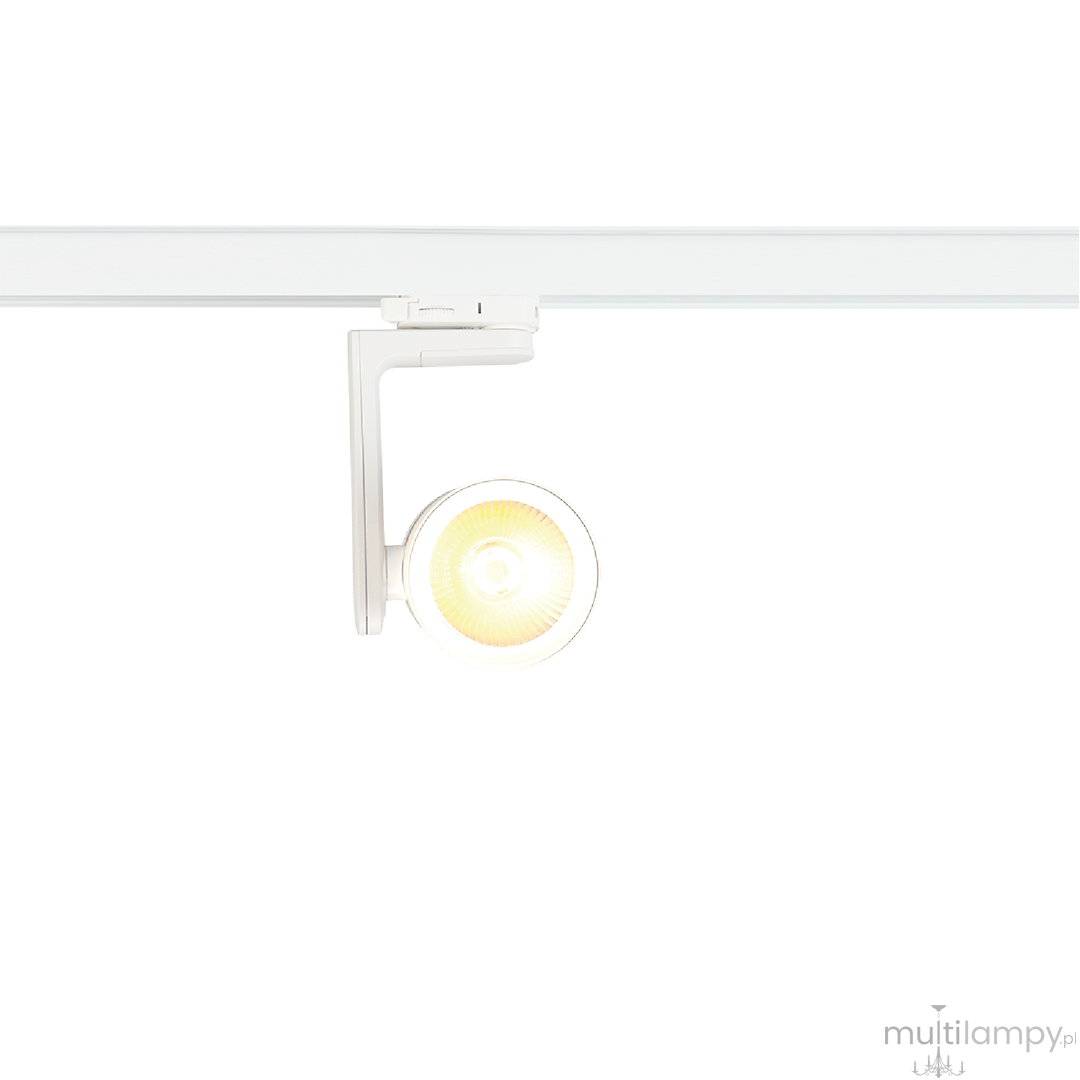 Track Timor LED 30W 2700/4000K spot do szyny 3-fazowej biały ML1116