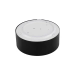 Livo S plafon 2xE27 IP54 czarny 10984