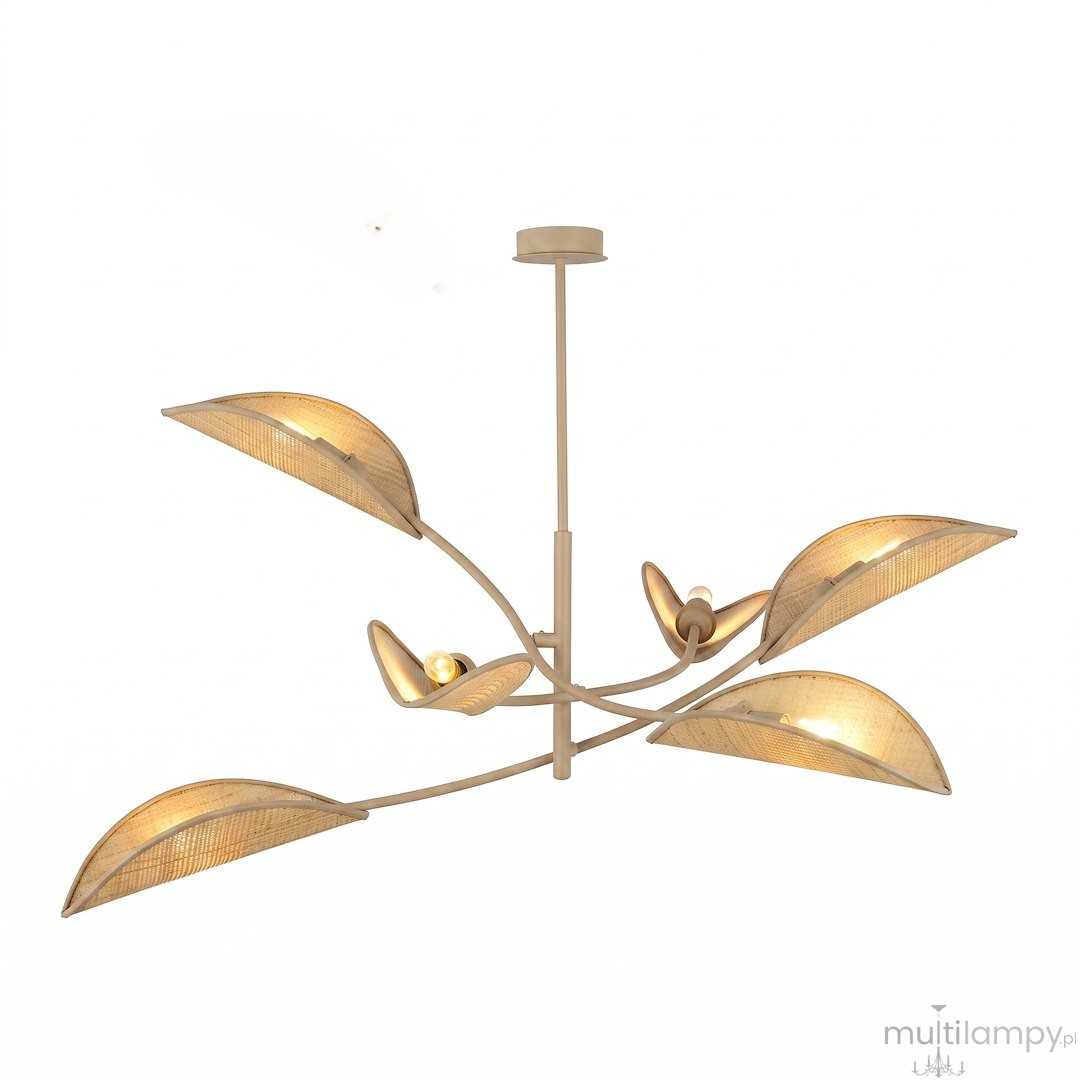 Lotus lampa sufitowa 6xE14 mokka/rattan 1792/6