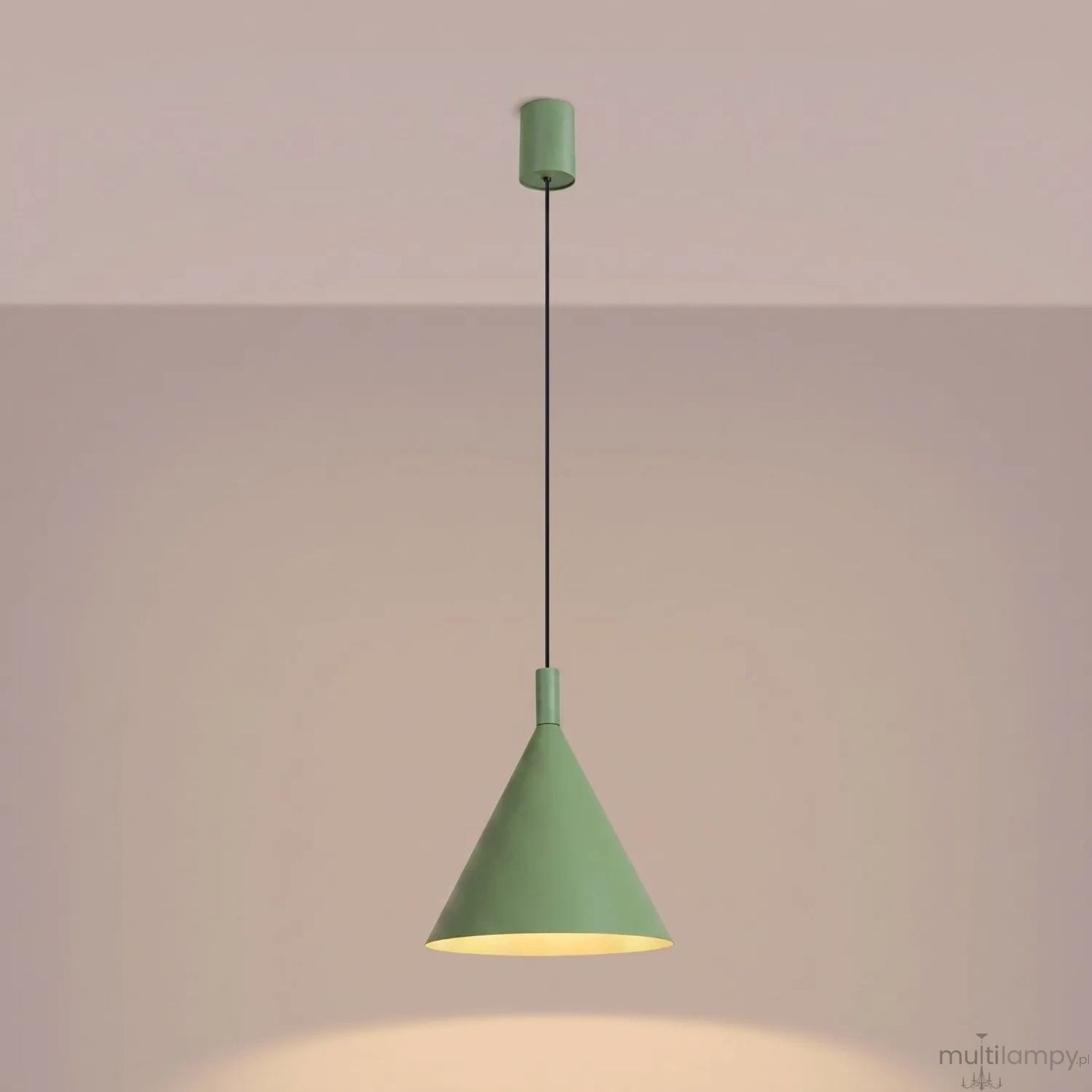 Nox D25 lampa wisząca E27 szałwiowa SL.2531