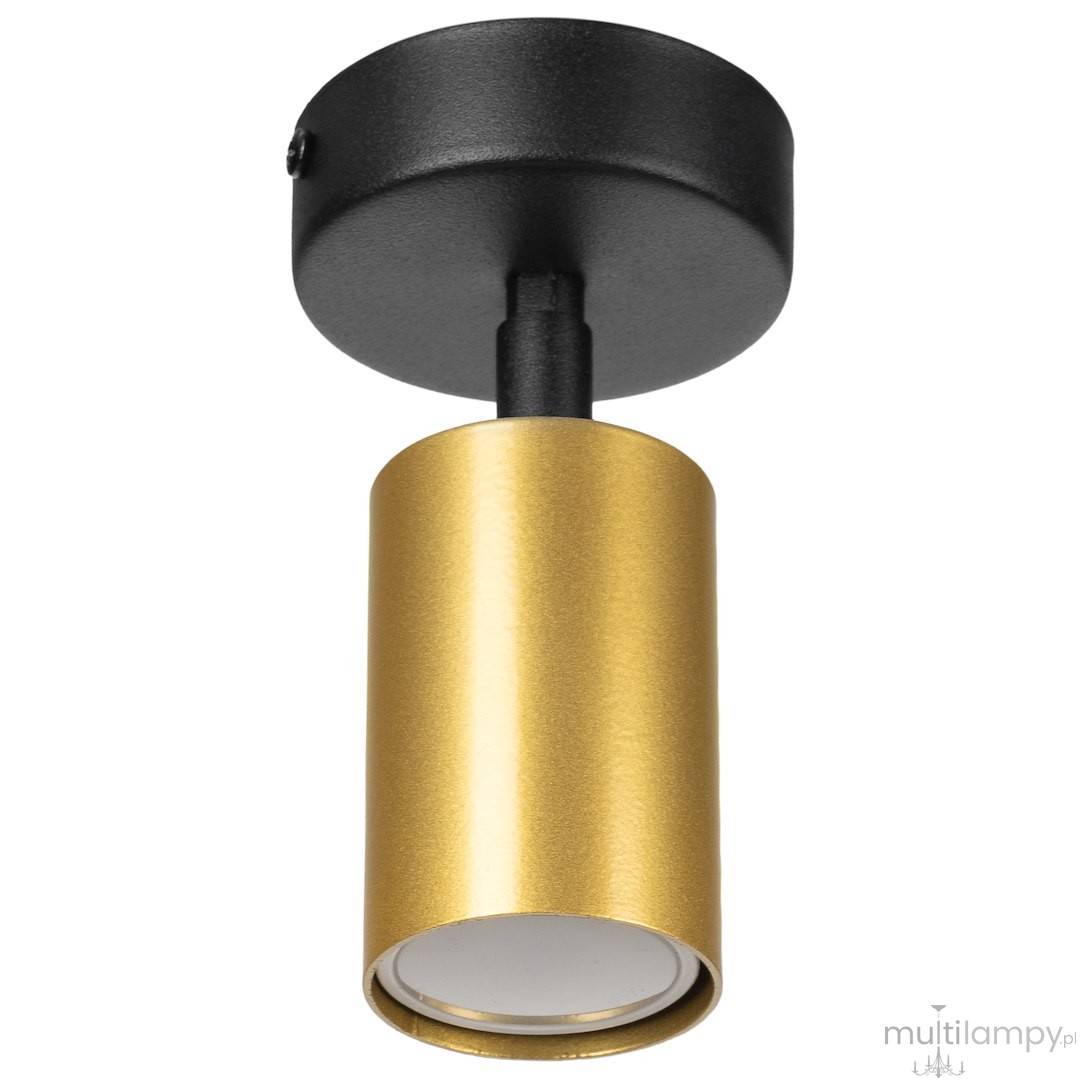 Hudson lampa sufitowa (spot) 1xGU10 czarna/złota MLP0257