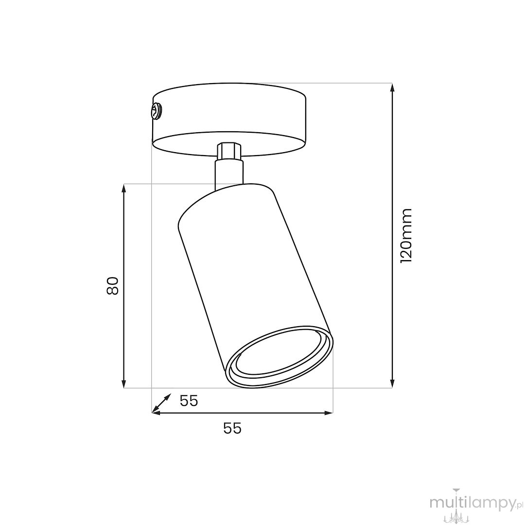 Hudson lampa sufitowa (spot) 1xGU10 czarna/złota MLP0257