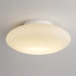 Robin D32 lampa sufitowa LED 11W 3000K biała ML2804