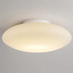 Robin D40 lampa sufitowa LED 14W 3000K biała ML2806