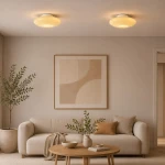 Robin D40 lampa sufitowa LED 14W 3000K biała/beż ML2807
