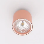 Nano lampa sufitowa 1xGU10 AR111 koral 1886/1