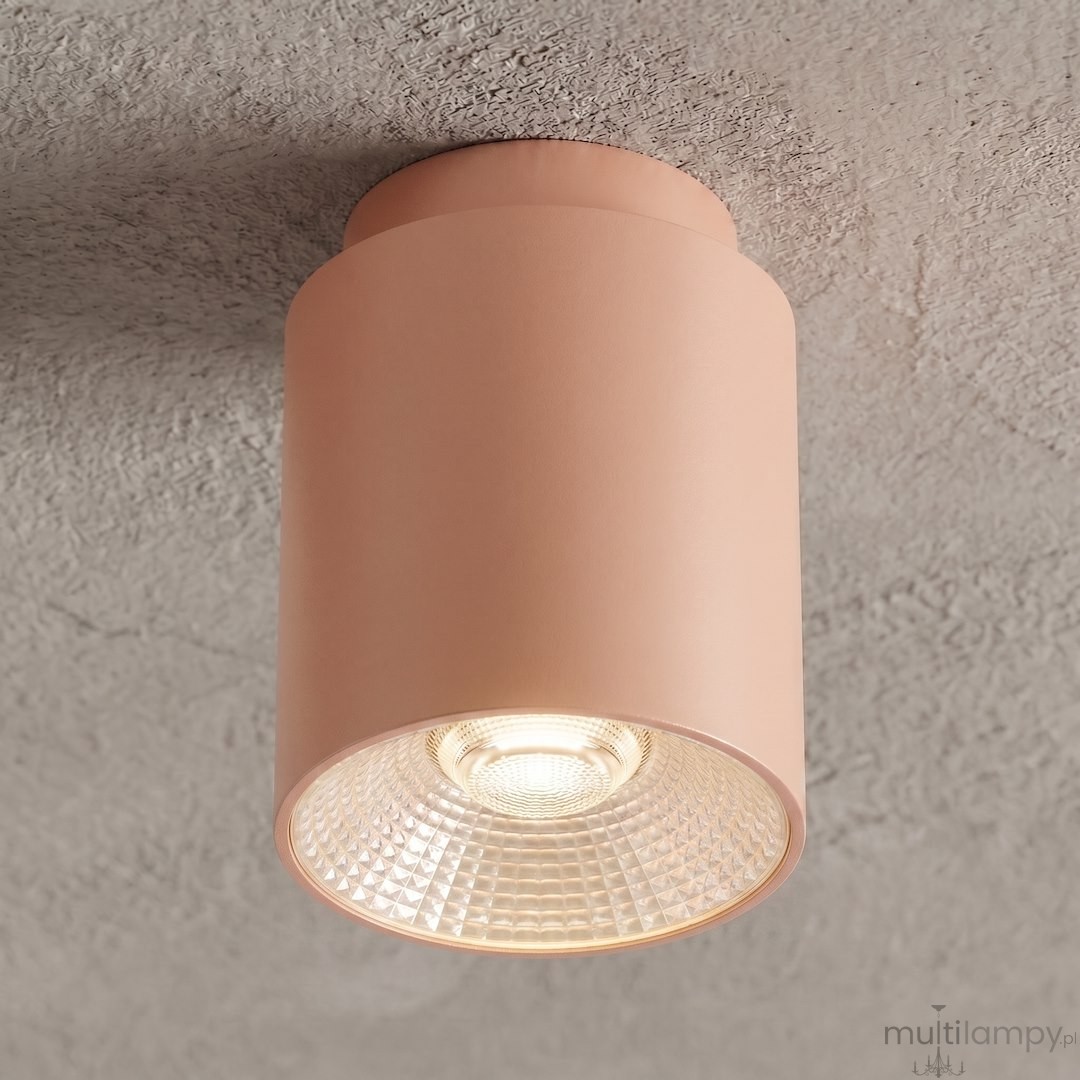 Nano lampa sufitowa 1xGU10 AR111 koral 1886/1
