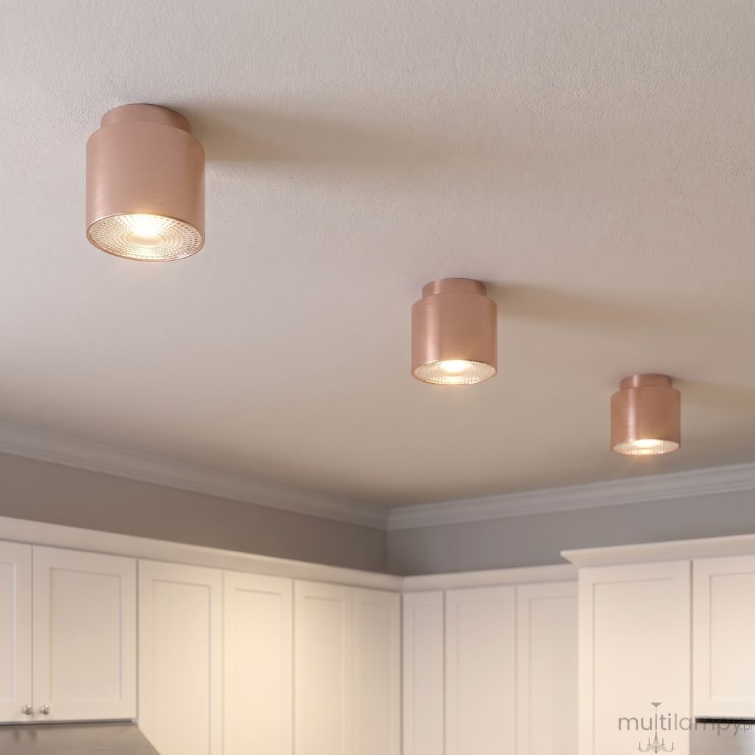 Nano lampa sufitowa 1xGU10 AR111 koral 1886/1