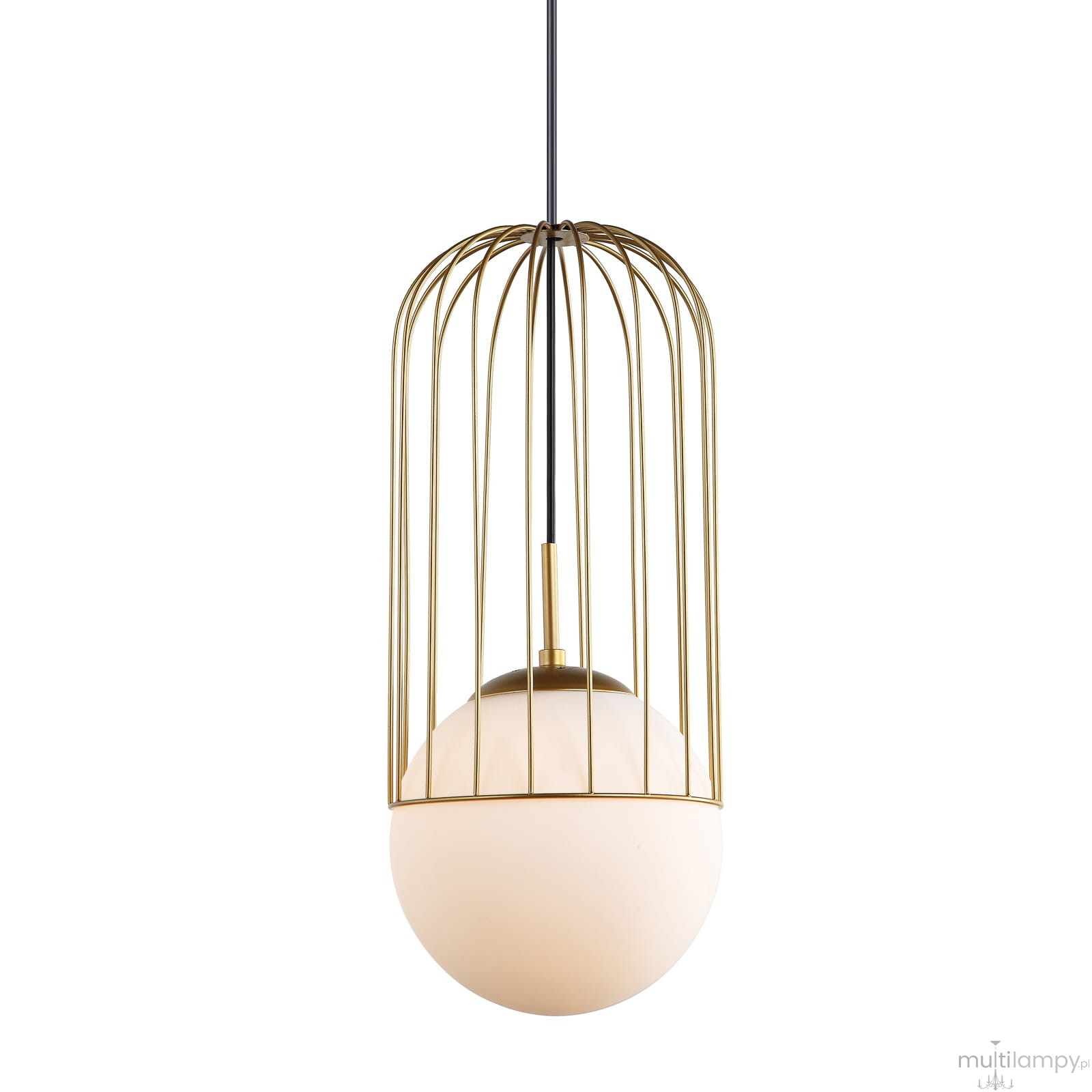 Lampa wisząca Matty D20 w złotej osłonie z metalowych prętów, z białym, kulistym kloszem. Zawieszona na czarnym przewodzie. Ujęcie frontalne, prezentujące elegancki design i nowoczesny styl.